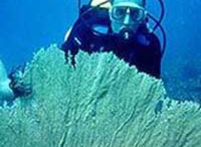 The Mysterious Islands of Andaman and Nicobar Tour