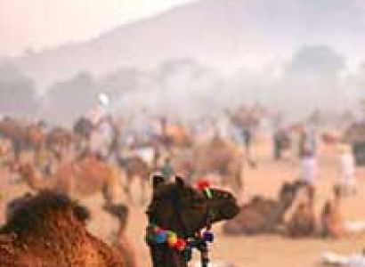 Pushkar Fair Tour