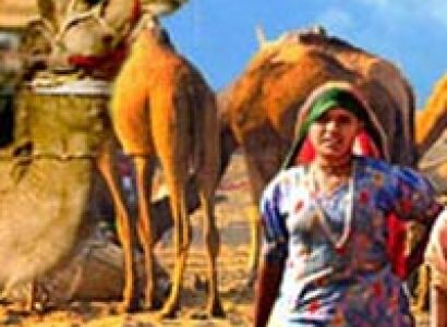 Splendors of Rajasthan Tour