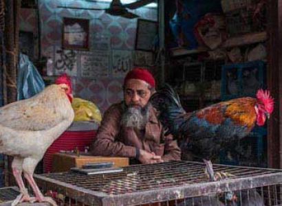 Sun Sand & Cave Temples Tour