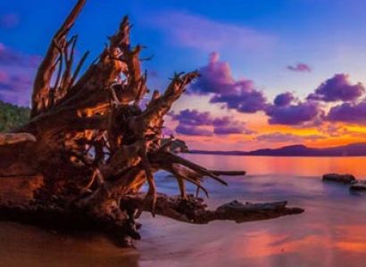 Sun Sand & Cave Temples Tour