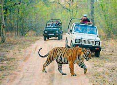 Adventure India - Wildlife Escapades