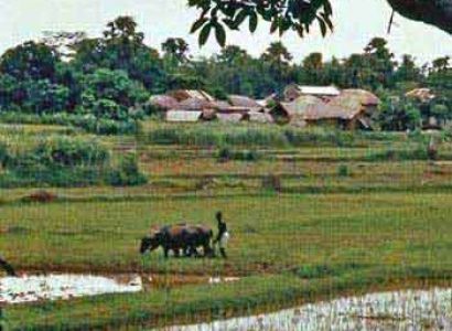 Golden Triangle - East India Tour