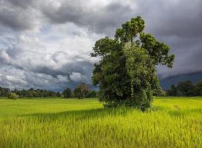 Luxury Cruise in Kerala – God’s Own Country Tour