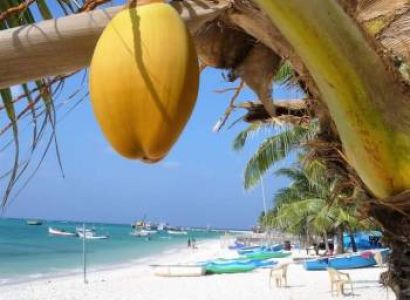 Andaman Tour 7 Night / 8 Days