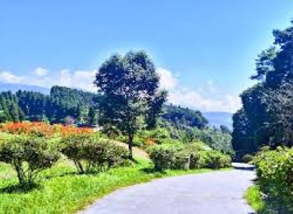 Darjeeling Kalimpong Tour