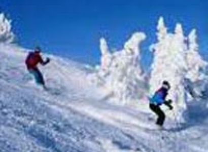 Magnificent Shimla Manali Tour