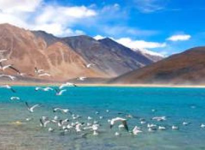 Panorama Ladakh Tour