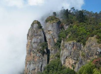  Hills Of Ooty & Kodaikanal Tour
