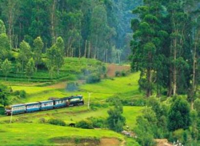 Ooty Special Tour Hotel Only 6 Nights 7 Days