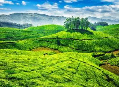 Kerala Tour 06 Nights 07 Days