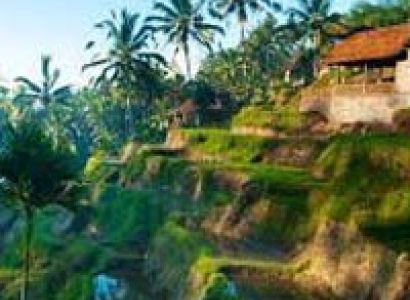 Bali 3 Nights & 4 Days Tour
