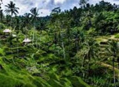 Malaysia & Bali 6 Night / 7 Days Tour