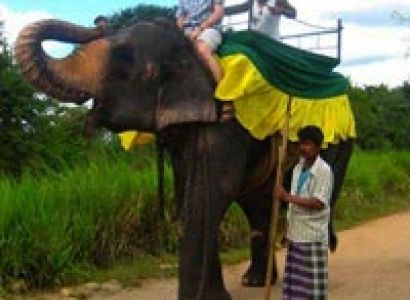 Sri Lanka 5 Nights/6 Days Tour