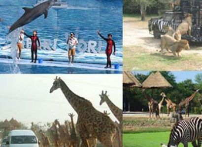 Phuket & Bangkok 4 Nights / 5 Days Package