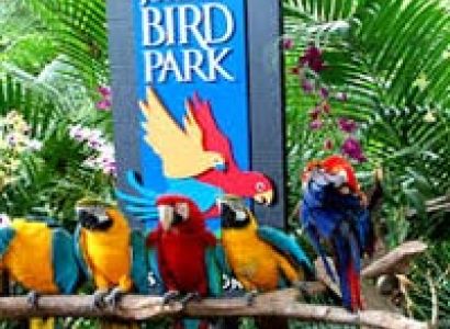 Jurong Bird park