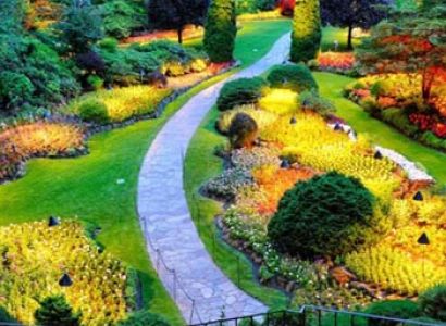 Botanical garden and Cultural shows