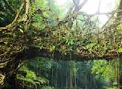 Beautiful Shillong with Guwahati Tour