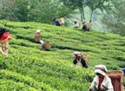 Southern Arunachal Tribal Tour