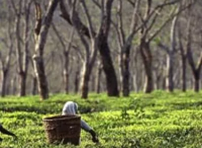 Arunachal Mysterious, Powerful & Beautiful Tour