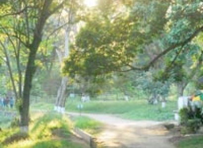 Amazing North East Tour