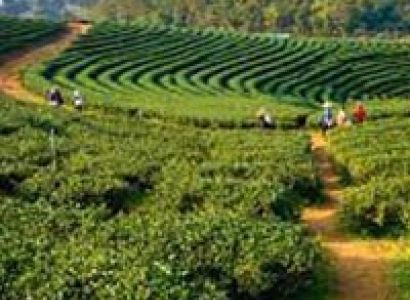 Sikkim Darjeeling 6N - 7D Trip Tour