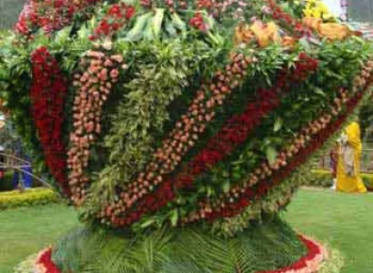 South Tour Packages 7N 8D