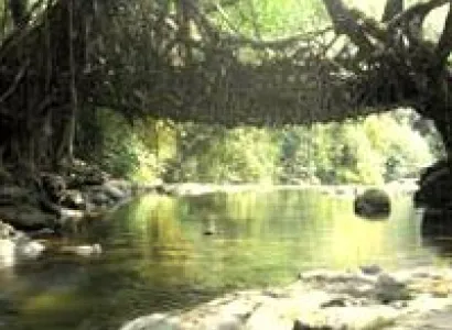 Meghalaya - Kaziranga - Nameri Tour