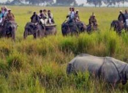 1 Day Kaziranga Tour
