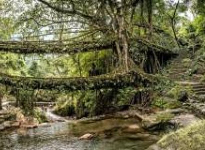 Foreign Nationals 15 Days Arunachal Meghalaya Assam Nagaland Tour