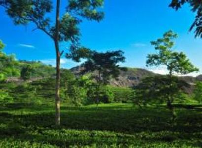 Foreign Nationals 15 Days Arunachal Meghalaya Assam Nagaland Tour