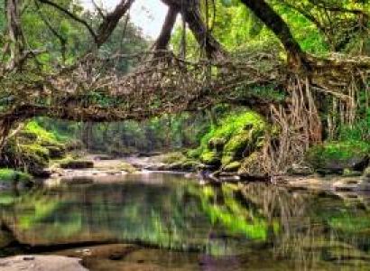 6 Nights 7 Days Assam- Meghalaya Tour