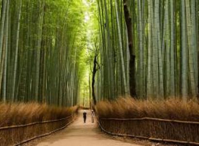 6 Nights 7 Days Assam- Meghalaya Tour