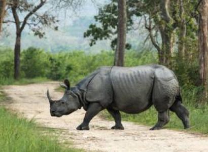 6 Nights 7 Days Assam- Meghalaya Tour