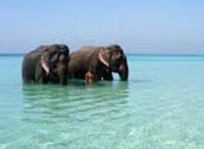 Andaman Holiday Flight Tour Package (4N 5D)
