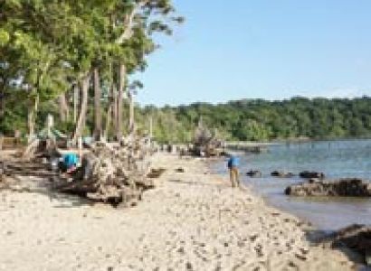 Andaman Tour Three Day Tour