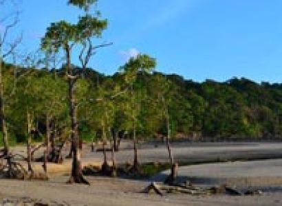 Five Day Tour (South Andaman)