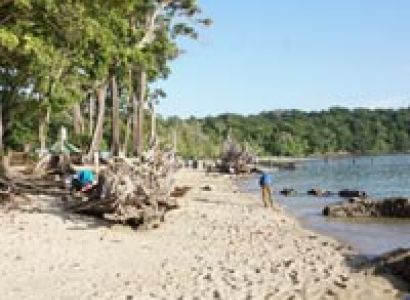 Six Day Tour (North & Middle Andaman)