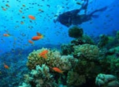 Andaman Mega Island Tour