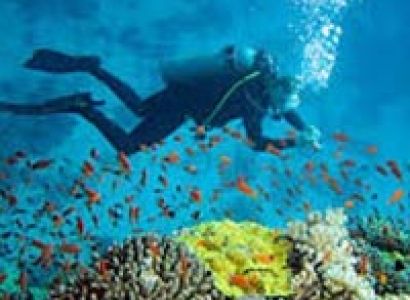 Andaman Tour Package