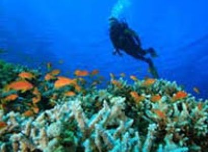 Affordable Andaman Tour