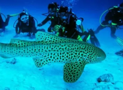 Amazing Andaman Tour Package