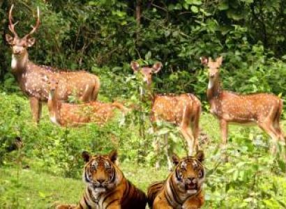 Corbett Nainital Mussoorie Tour 6 Nights/7 Days