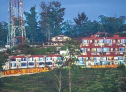 Ooty Mysore Bangalore Tour 4 Nights / 5 Days