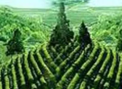 Darjeeling Gangtok Tour (Family Special)