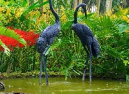 Singapore Dream Tour