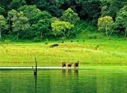 Packages in Thekkady