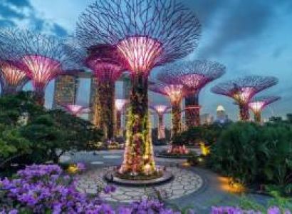 Exclusive Singapore Tour