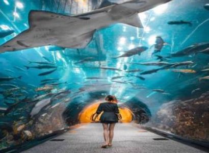 Dubai With Abu Dhabi 5 Nights And 6 Days