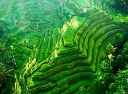 Mesmerizing Bali 6 Nights - 7 Days Tour